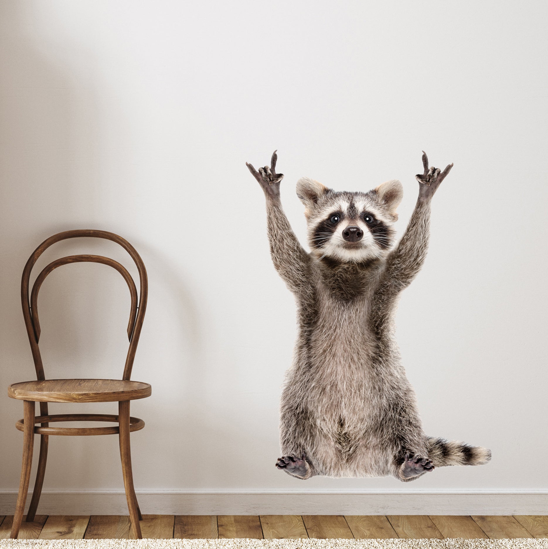 Wandtattoo Waschbär