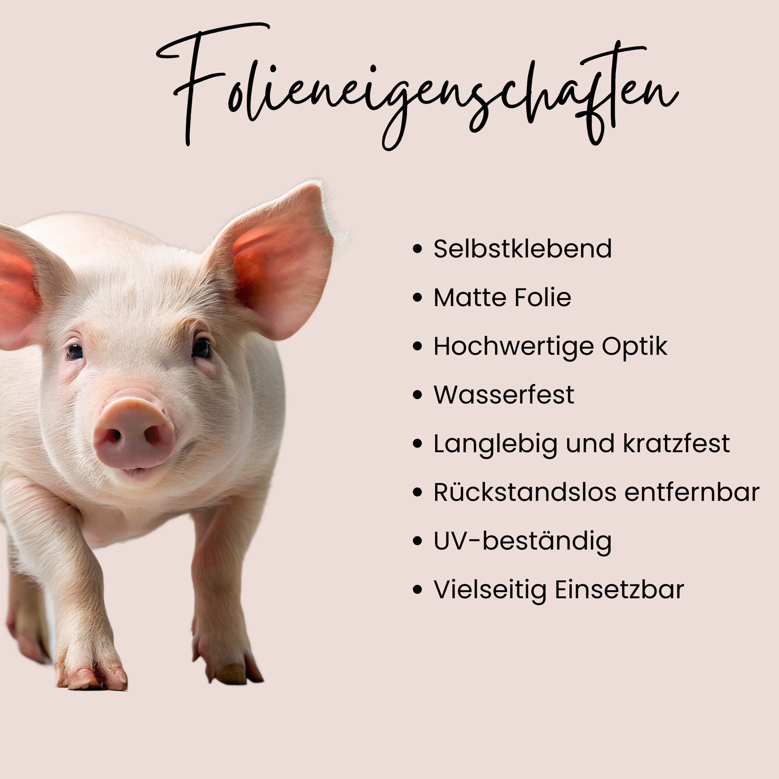 Wandtattoo Schwein