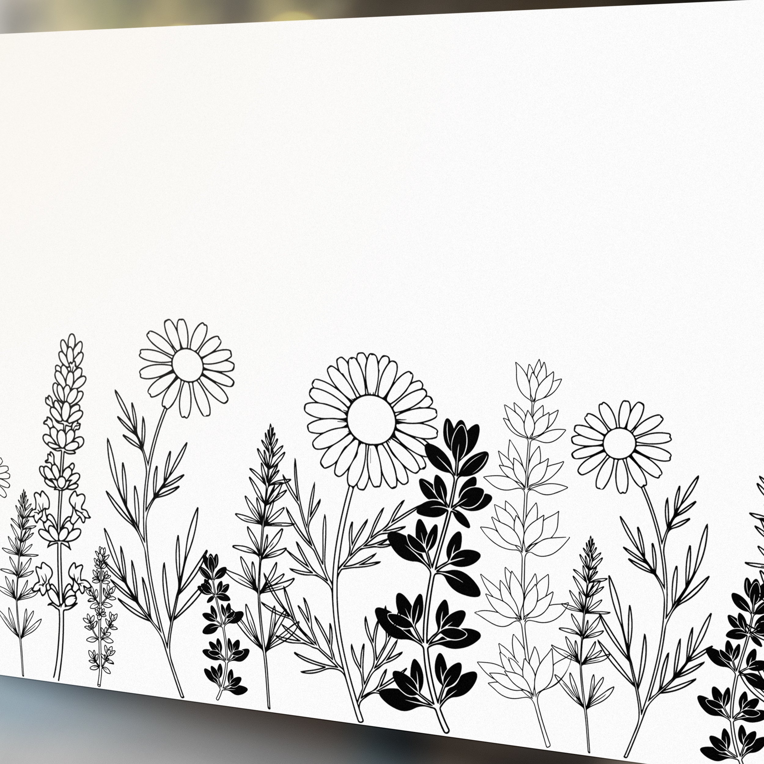 Fensterfolie Blumenwiese Gänseblümchen