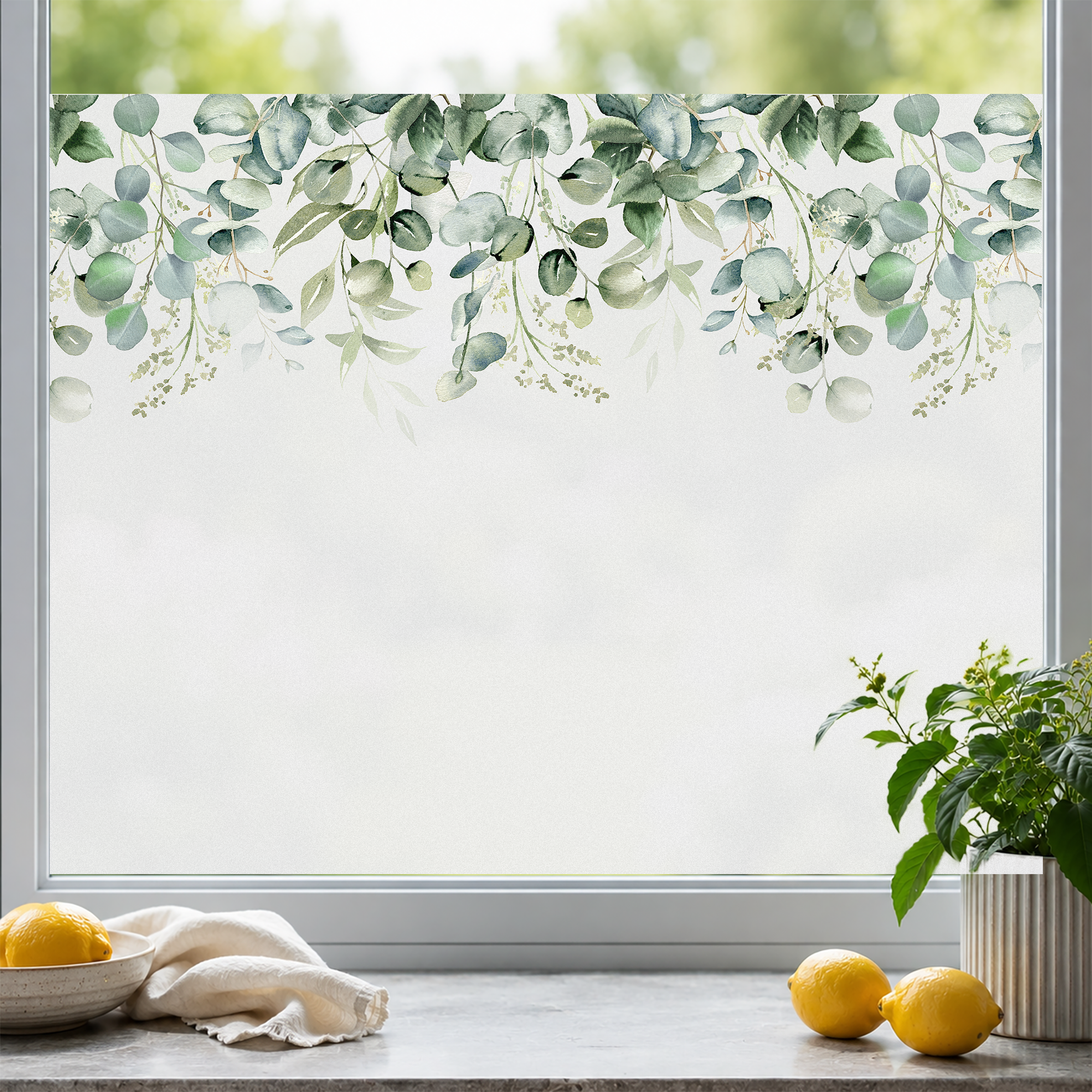 Fensterfolie Eukalyptus