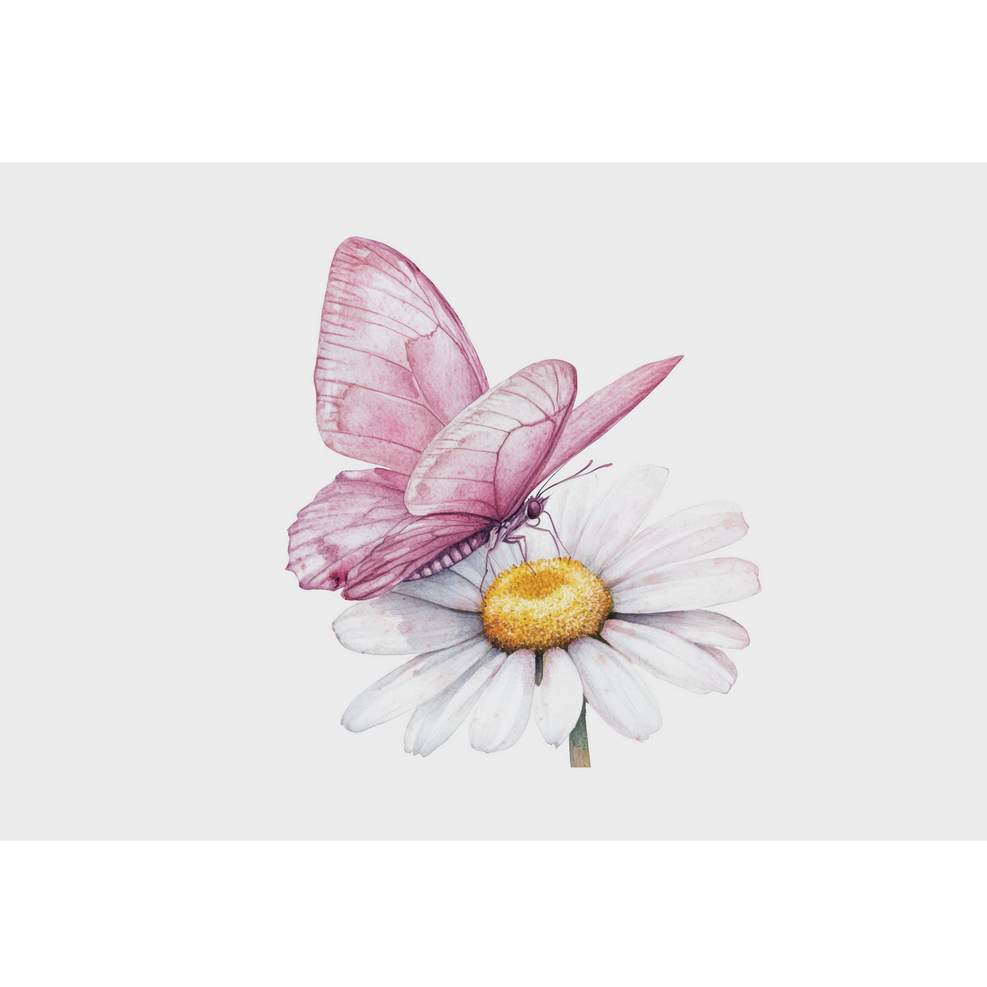 Fensterfolie Schmetterling & Blume