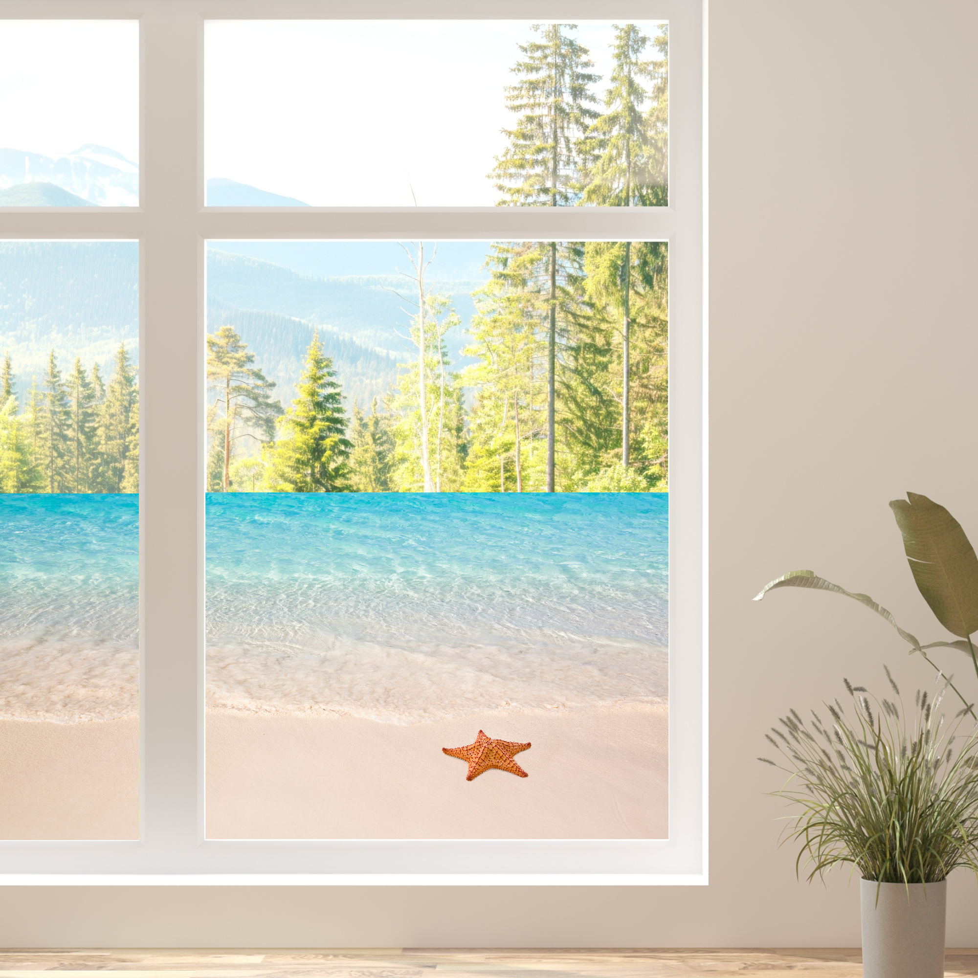 Sternenhimmel am Strand mit türkisfarbenem Wasser und Bäumen.