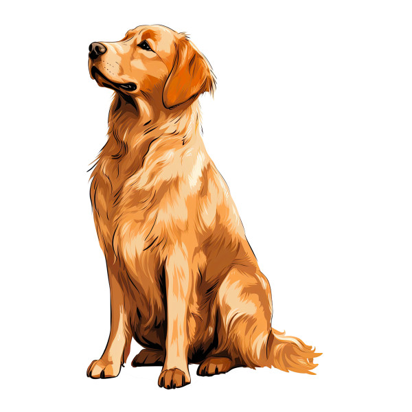 Wandtattoo Hund Golden Retriever