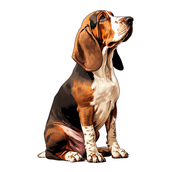 Wandtattoo Hund Basset Hound Dackel