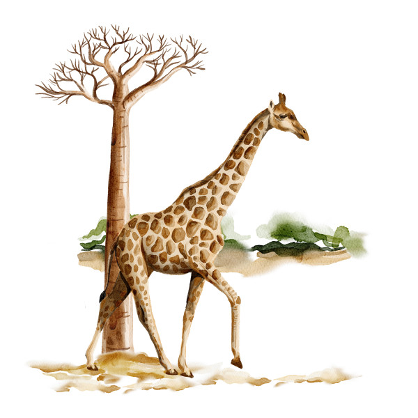 Wandtattoo Afrika mit Giraffe